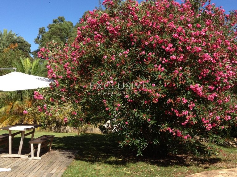 Villa for Sale in PortimÃo, Algarve 13