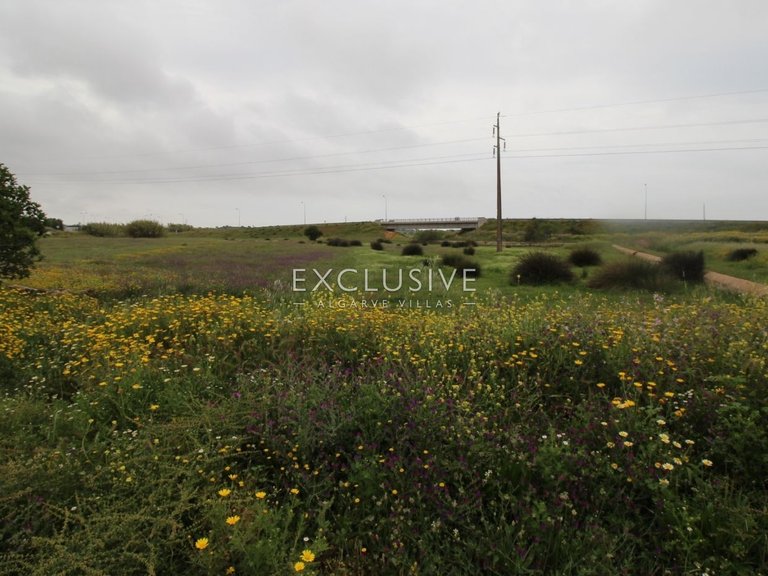 Plot for Sale in Silves, Algarve 14