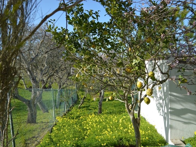 Plot for Sale in Lagos, Algarve 11