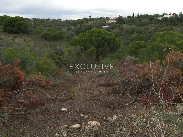 Plot for Sale in Silves, Algarve 6