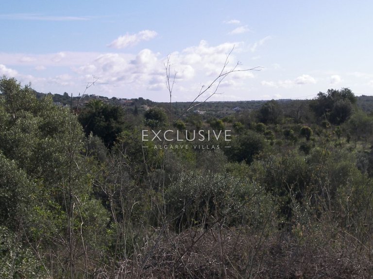 Plot for Sale in Silves, Algarve 3