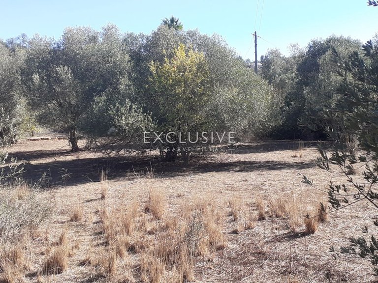 Plot for Sale in Silves, Algarve 7