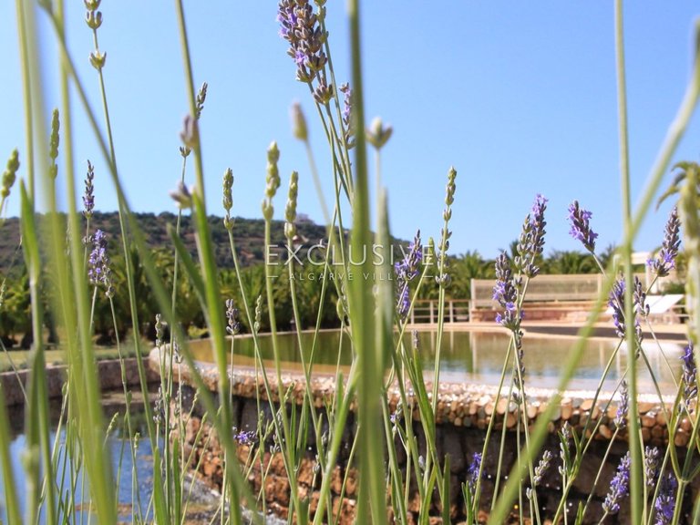 Villa for Sale in Estombar, Algarve 29