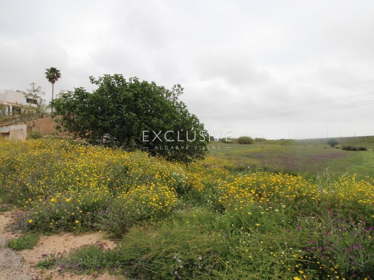 Plot for Sale in Silves, Algarve 26