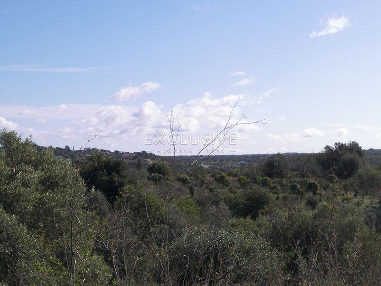 Plot for Sale in Silves, Algarve 13