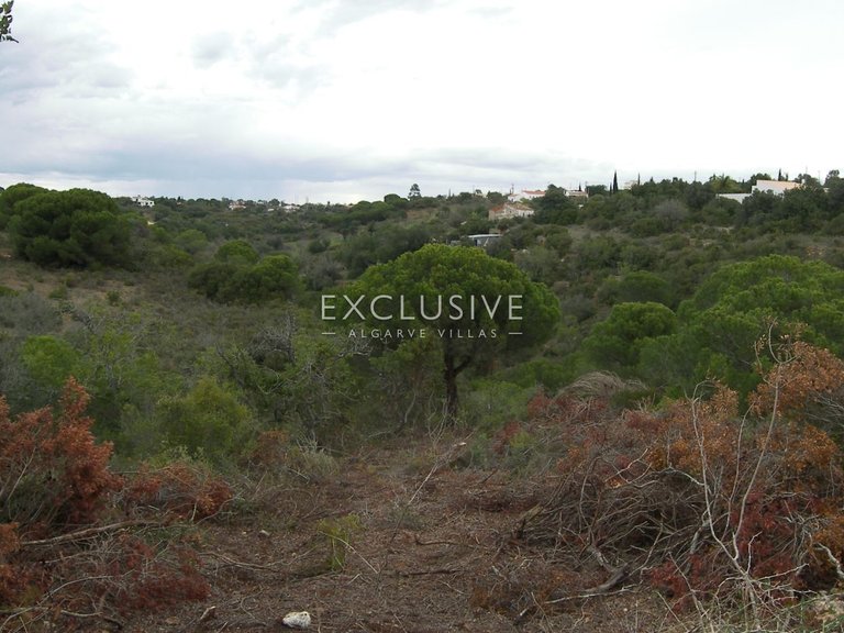 Plot for Sale in Silves, Algarve 11