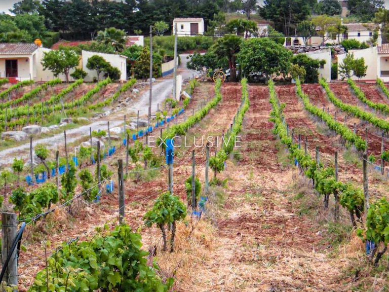Plot for Sale in Praia Da Luz, Algarve 30