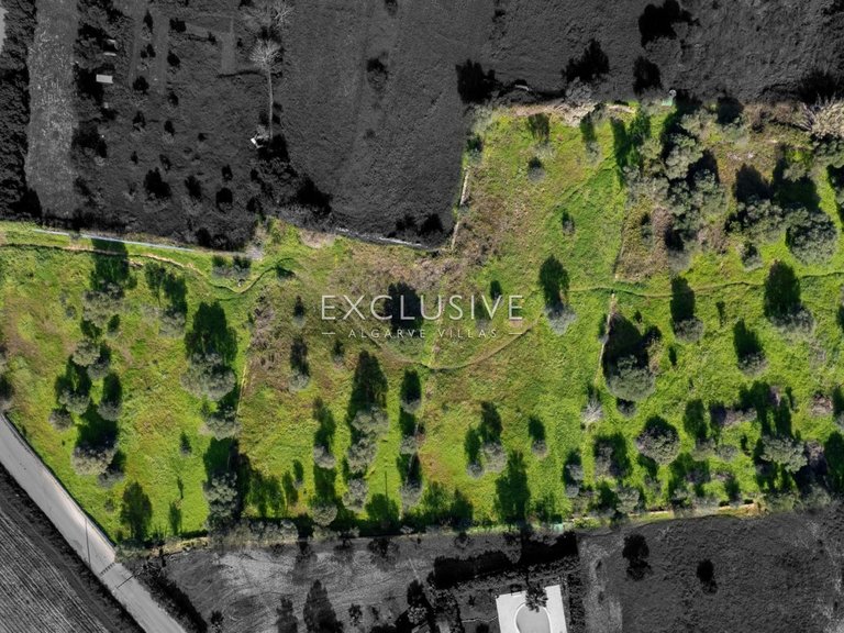 Plot for Sale in Silves, Algarve 3