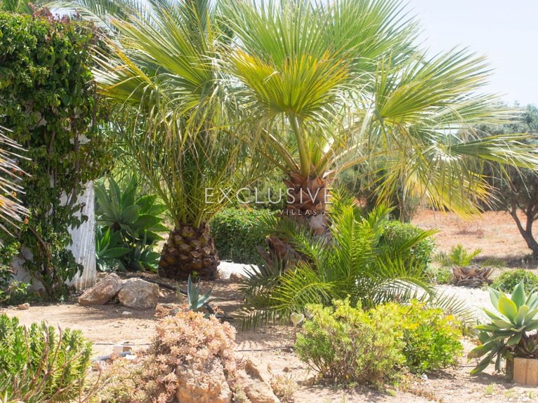 Villa for Sale in Porches, Algarve 17