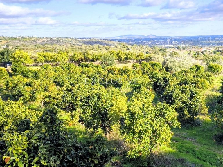 Plot for Sale in Albufeira, Algarve 3