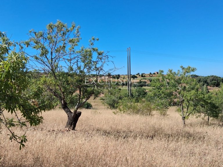 Plot for Sale in Estombar, Algarve 1