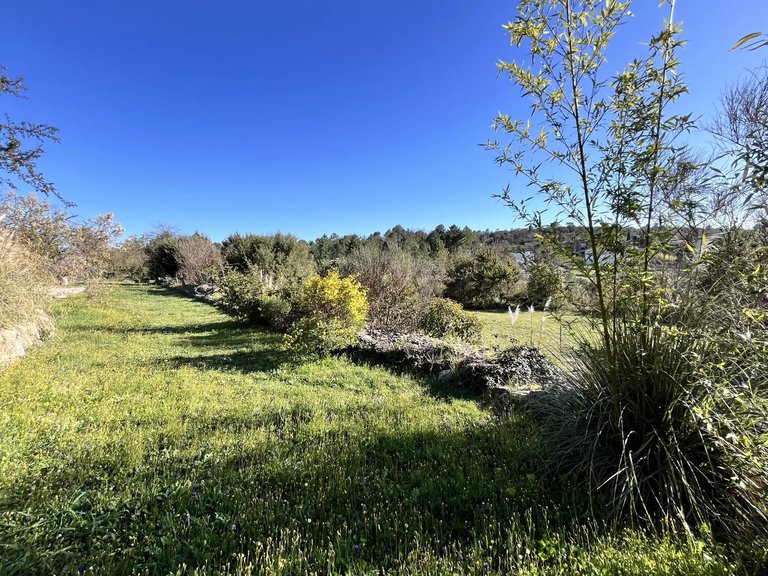 Villa for Sale in Montauroux, Var Countryside (fayence, Lorgues, Cotignac) 6
