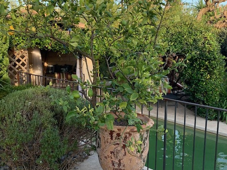 Villa for Sale in Uzes, Uzes Area 4