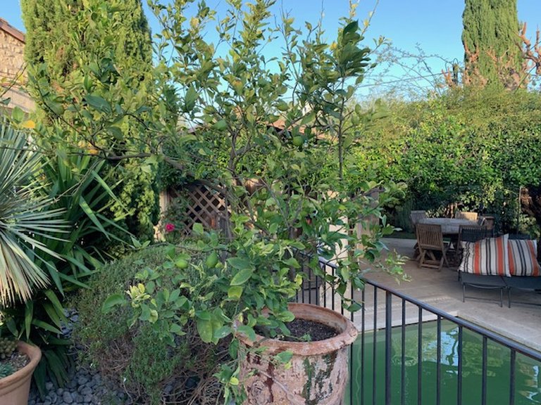 Villa for Sale in Uzes, Uzes Area 9