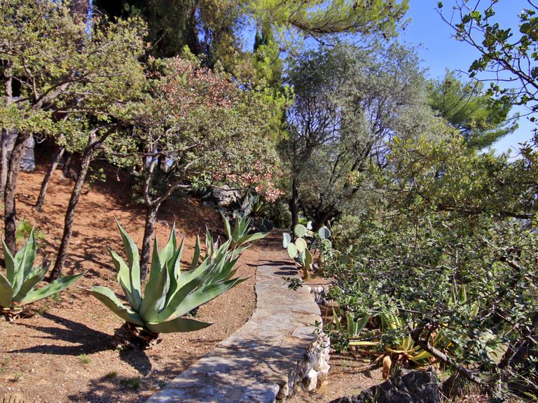 Villa for Sale in Nice, Nice Area 12
