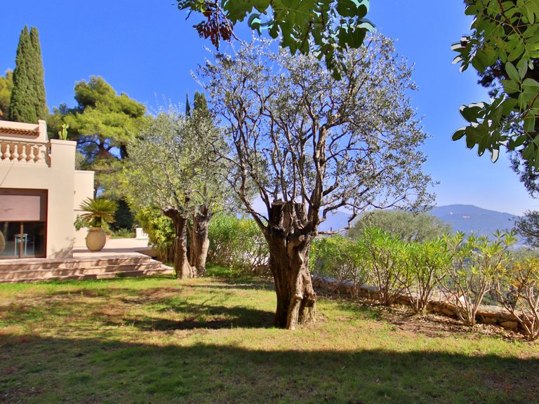 Villa for Sale in Nice, Nice Area 10