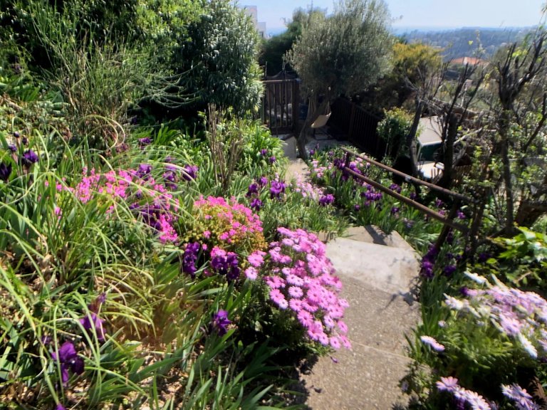 Villa for Sale in Nice, Nice Area 20