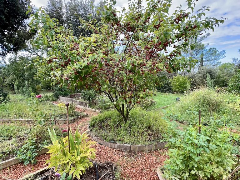 Villa for Sale in Goult, The Luberon / Vaucluse 9