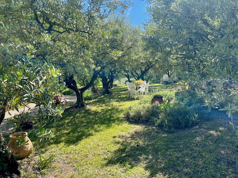 Villa for Sale in Gordes, The Luberon / Vaucluse 6