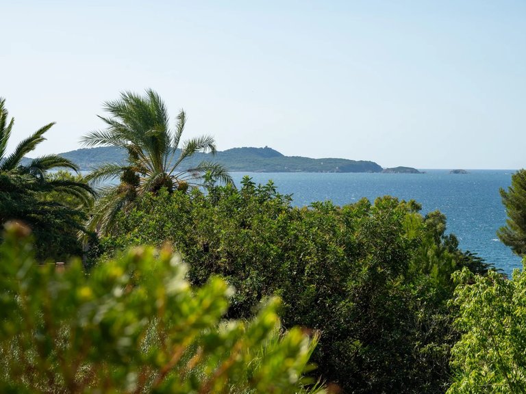 Villa for Sale in Carqueiranne, Provence Coast (cassis To Cavalaire) 1