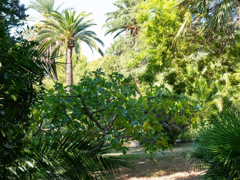 Villa for Sale in Carqueiranne, Provence Coast (cassis To Cavalaire) 5