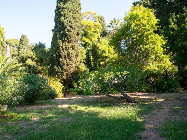 Villa for Sale in Carqueiranne, Provence Coast (cassis To Cavalaire) 6