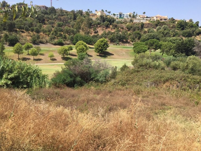 Villa for Sale in Estepona, Marbella Area 16