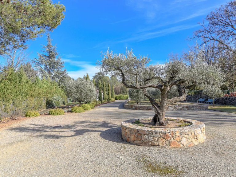 Villa for Sale in Lorgues, Var Countryside (fayence, Lorgues, Cotignac) 8