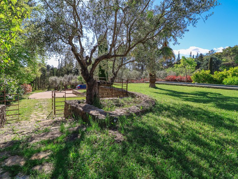 Villa for Sale in Tourrettes, Var Countryside (fayence, Lorgues, Cotignac) 3