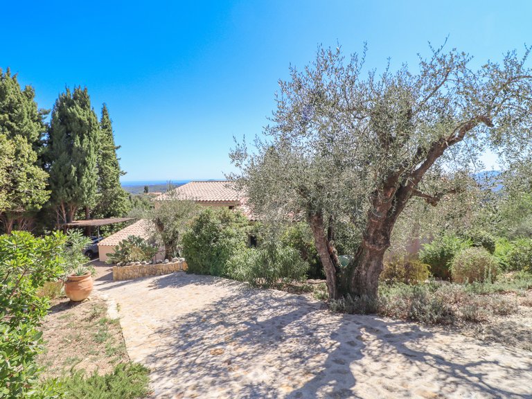 Villa for Sale in Chateauneuf Grasse, Mougins, Valbonne, Grasse Area 14