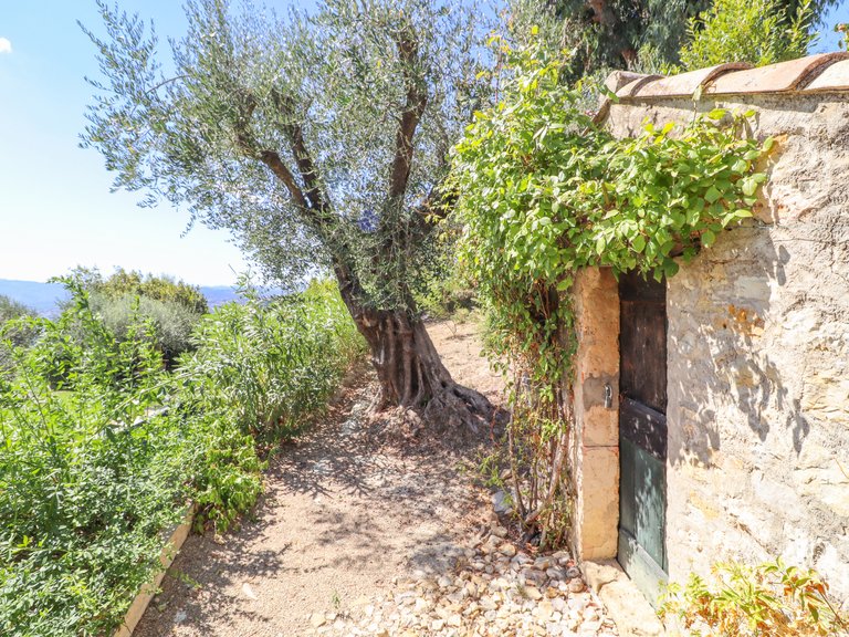Villa for Sale in Chateauneuf Grasse, Mougins, Valbonne, Grasse Area 9
