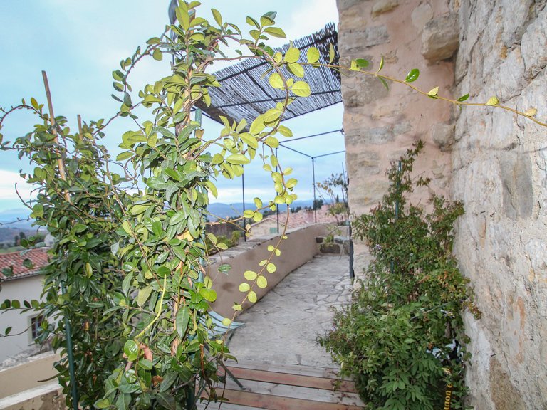 Villa for Sale in Chateauneuf Grasse, Mougins, Valbonne, Grasse Area 9