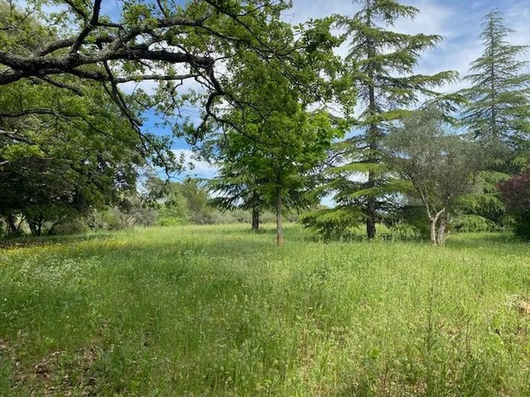 Villa for Sale in Lorgues, Var Countryside (fayence, Lorgues, Cotignac) 13