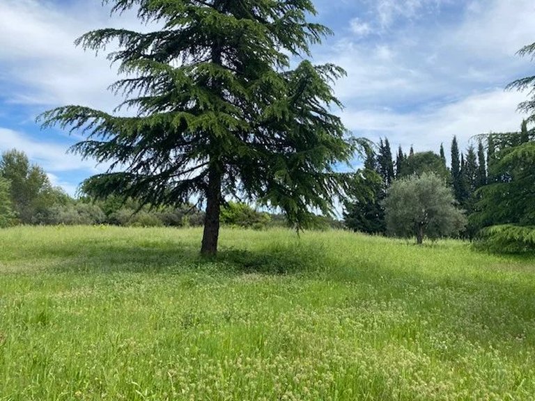 Villa for Sale in Lorgues, Var Countryside (fayence, Lorgues, Cotignac) 16