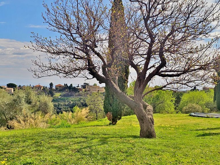 Villa for Sale in Cagnes Sur Mer, Antibes Area 6