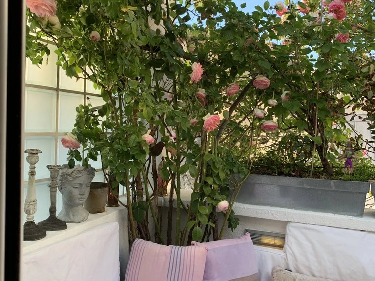 Apartment for Sale in 6th (saint Germain Des Prés - Luxembourg), Paris Left Bank (5th,6th & 7th ) 18