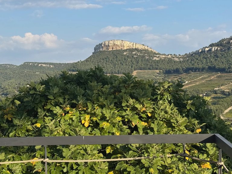 Villa for Sale in Cassis, Provence Coast (cassis To Cavalaire) 3