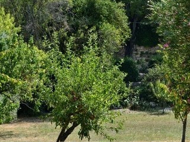 Villa for Sale in Uzes, Uzes Area 17