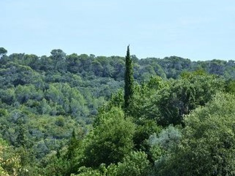 Villa for Sale in Uzes, Uzes Area 19