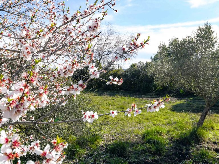 Villa for Sale in Uzes, Uzes Area 12