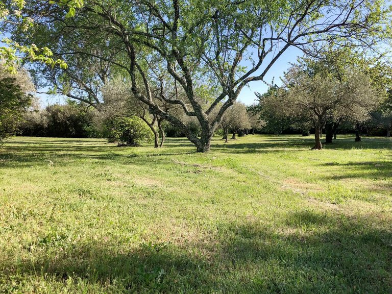 Villa for Sale in Uzes, Uzes Area 13