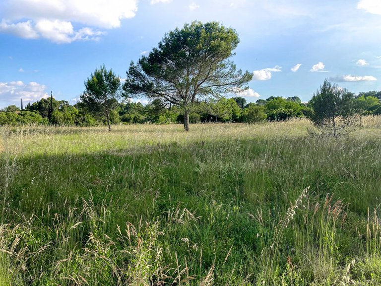Villa for Sale in Uzes, Uzes Area 16