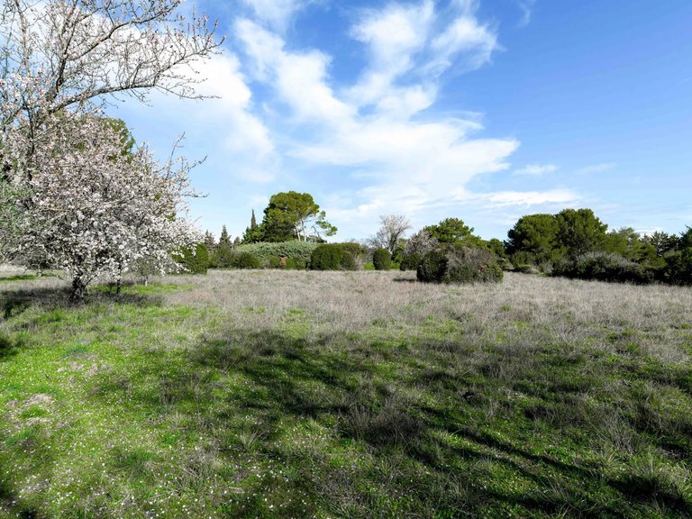 Villa for Sale in Uzes, Uzes Area 6