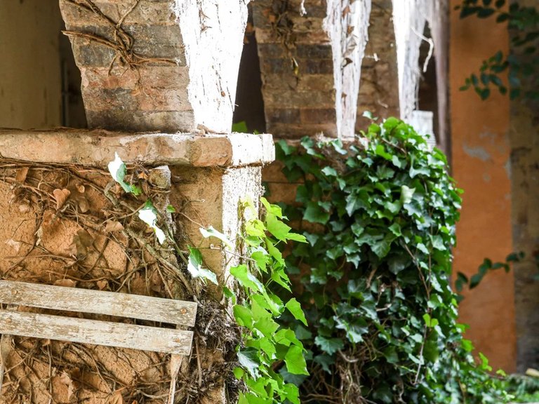 Villa for Sale in Uzes, Uzes Area 18