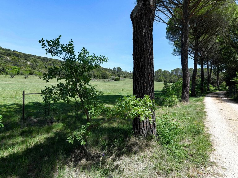 Castle/estate for Sale in Uzes, Uzes Area 4
