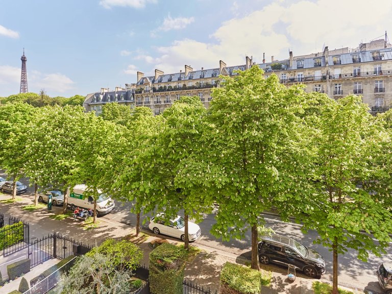 Apartment for Sale in 16th (trocadéro - Etoile - Passy), Golden Triangle - Trocadéro (8th - 16th) 3