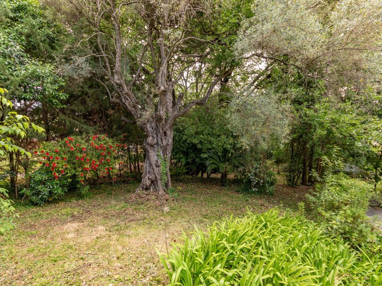Villa for Sale in Antibes, Antibes Area 11