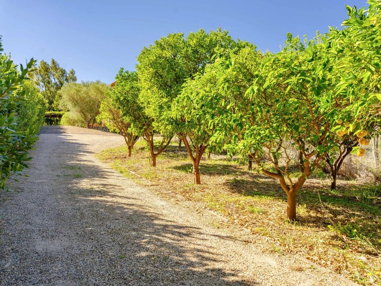 Villa for Sale in Saint Tropez, St. Tropez, Grimaud Area 4