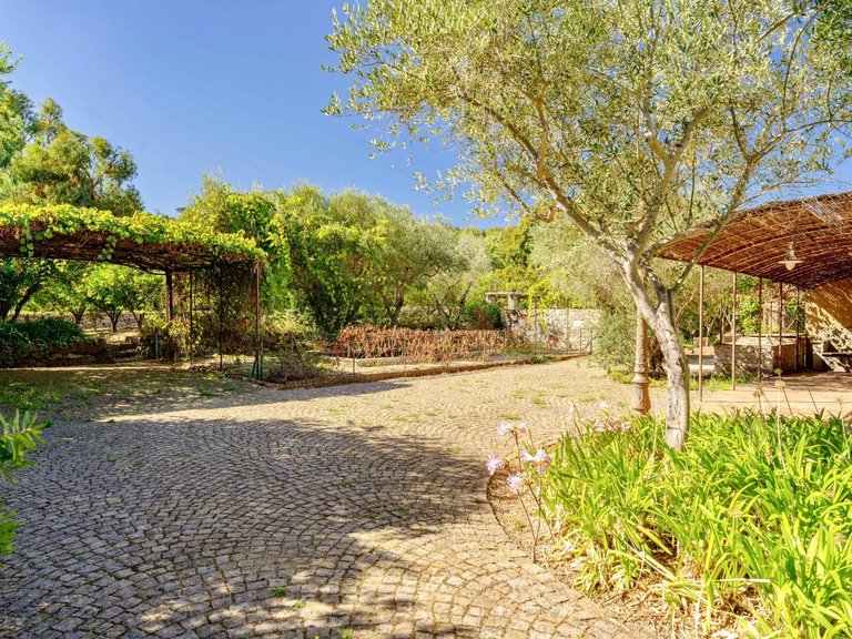 Villa for Sale in Saint Tropez, St. Tropez, Grimaud Area 6