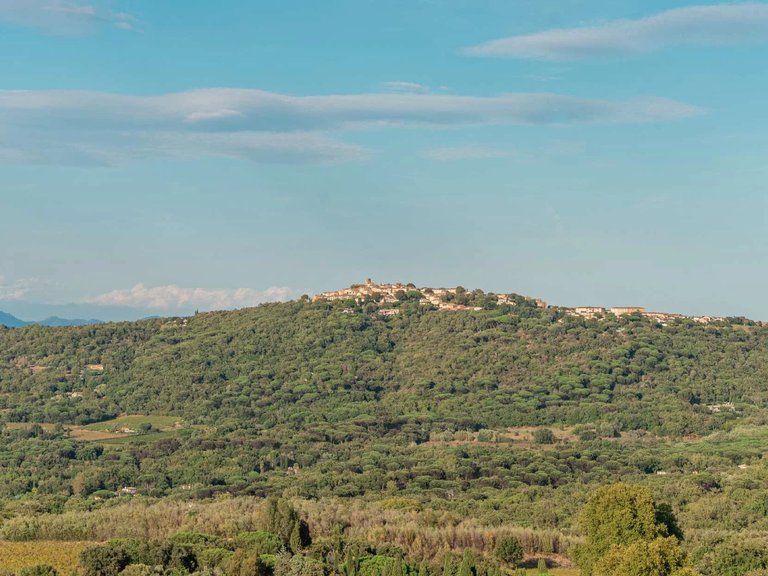 Villa for Sale in La Croix Valmer, St. Tropez, Grimaud Area 6